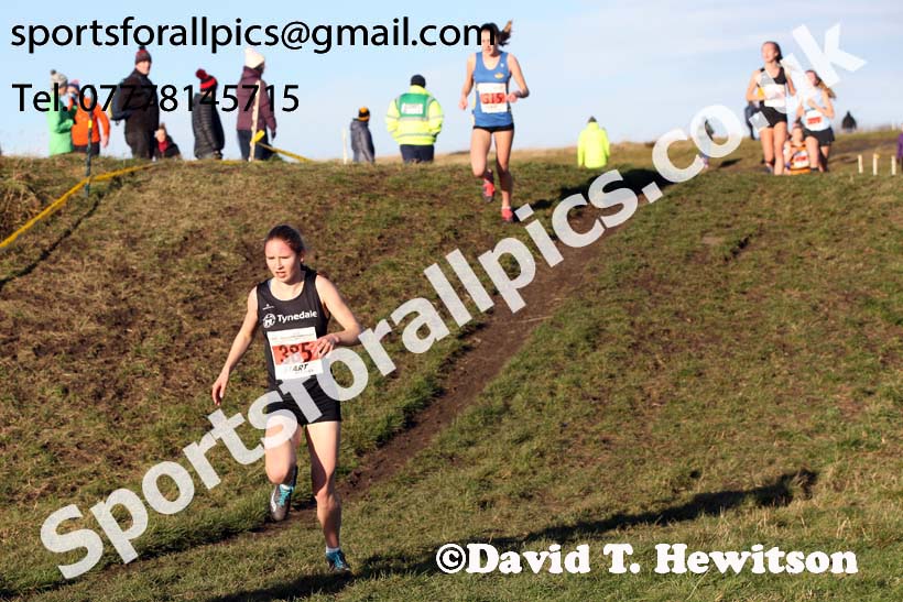Girls under-15s North Eastern Cross Country, 2018 Northern Cross Country Champs., Wrekenton, Gateshead. Photo:  David T. Hewitson/Sports for All Pics